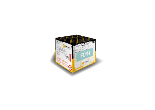 Pryme_V2024_3D_Ansichten_FLYH_300dpi Flyh